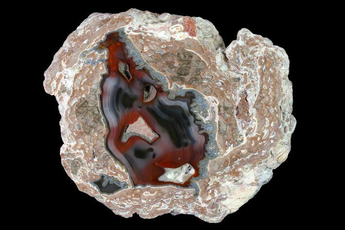 Polished Baker Ranch Thunderegg with Sagenite - New Mexico #145669